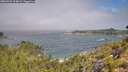 ./images/calvert/foggy-cove/20260723/foggy-cove20260723_104001M.jpg