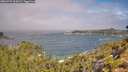 ./images/calvert/foggy-cove/20260723/foggy-cove20260723_104501M.jpg
