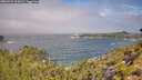 ./images/calvert/foggy-cove/20260723/foggy-cove20260723_105001M.jpg