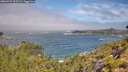 ./images/calvert/foggy-cove/20260723/foggy-cove20260723_105501M.jpg