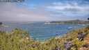 ./images/calvert/foggy-cove/20260723/foggy-cove20260723_110001M.jpg
