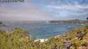 ./images/calvert/foggy-cove/20260723/foggy-cove20260723_110501M.jpg