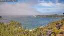 ./images/calvert/foggy-cove/20260723/foggy-cove20260723_111001M.jpg