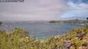 ./images/calvert/foggy-cove/20260723/foggy-cove20260723_111501M.jpg