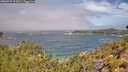 ./images/calvert/foggy-cove/20260723/foggy-cove20260723_112001M.jpg