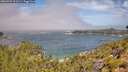 ./images/calvert/foggy-cove/20260723/foggy-cove20260723_112501M.jpg
