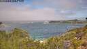 ./images/calvert/foggy-cove/20260723/foggy-cove20260723_114001M.jpg