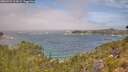 ./images/calvert/foggy-cove/20260723/foggy-cove20260723_114501M.jpg