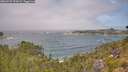 ./images/calvert/foggy-cove/20260723/foggy-cove20260723_115001M.jpg