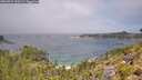 ./images/calvert/foggy-cove/20260723/foggy-cove20260723_120501M.jpg
