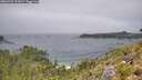 ./images/calvert/foggy-cove/20260723/foggy-cove20260723_122001M.jpg