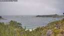 ./images/calvert/foggy-cove/20260723/foggy-cove20260723_123501M.jpg
