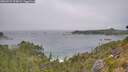 ./images/calvert/foggy-cove/20260723/foggy-cove20260723_125001M.jpg