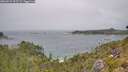 ./images/calvert/foggy-cove/20260723/foggy-cove20260723_125501M.jpg