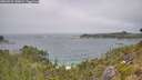 ./images/calvert/foggy-cove/20260723/foggy-cove20260723_130001M.jpg