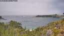 ./images/calvert/foggy-cove/20260723/foggy-cove20260723_130502M.jpg