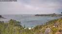 ./images/calvert/foggy-cove/20260723/foggy-cove20260723_131001M.jpg