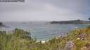 ./images/calvert/foggy-cove/20260723/foggy-cove20260723_131501M.jpg