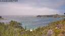 ./images/calvert/foggy-cove/20260723/foggy-cove20260723_132001M.jpg