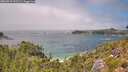 ./images/calvert/foggy-cove/20260723/foggy-cove20260723_132501M.jpg