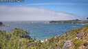 ./images/calvert/foggy-cove/20260723/foggy-cove20260723_133001M.jpg