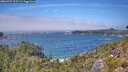./images/calvert/foggy-cove/20260723/foggy-cove20260723_133501M.jpg