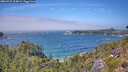 ./images/calvert/foggy-cove/20260723/foggy-cove20260723_134001M.jpg