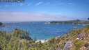 ./images/calvert/foggy-cove/20260723/foggy-cove20260723_135001M.jpg