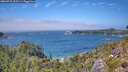 ./images/calvert/foggy-cove/20260723/foggy-cove20260723_135501M.jpg