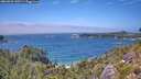 ./images/calvert/foggy-cove/20260723/foggy-cove20260723_140501M.jpg