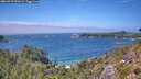 ./images/calvert/foggy-cove/20260723/foggy-cove20260723_141001M.jpg