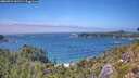 ./images/calvert/foggy-cove/20260723/foggy-cove20260723_141501M.jpg