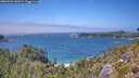./images/calvert/foggy-cove/20260723/foggy-cove20260723_142001M.jpg