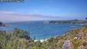 ./images/calvert/foggy-cove/20260723/foggy-cove20260723_142501M.jpg
