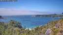 ./images/calvert/foggy-cove/20260723/foggy-cove20260723_143001M.jpg