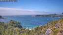 ./images/calvert/foggy-cove/20260723/foggy-cove20260723_143502M.jpg