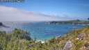 ./images/calvert/foggy-cove/20260723/foggy-cove20260723_144501M.jpg