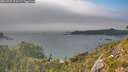 ./images/calvert/foggy-cove/20260723/foggy-cove20260723_174502M.jpg