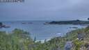 ./images/calvert/foggy-cove/20260724/foggy-cove20260724_054501M.jpg