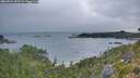 ./images/calvert/foggy-cove/20260724/foggy-cove20260724_055501M.jpg