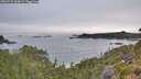 ./images/calvert/foggy-cove/20260724/foggy-cove20260724_064501M.jpg