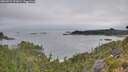 ./images/calvert/foggy-cove/20260724/foggy-cove20260724_071001M.jpg
