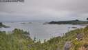 ./images/calvert/foggy-cove/20260724/foggy-cove20260724_072501M.jpg