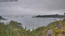 ./images/calvert/foggy-cove/20260724/foggy-cove20260724_073001M.jpg