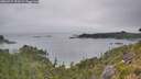 ./images/calvert/foggy-cove/20260724/foggy-cove20260724_073501M.jpg