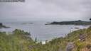 ./images/calvert/foggy-cove/20260724/foggy-cove20260724_074502M.jpg