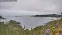 ./images/calvert/foggy-cove/20260724/foggy-cove20260724_081001M.jpg