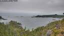 ./images/calvert/foggy-cove/20260724/foggy-cove20260724_084001M.jpg
