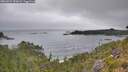 ./images/calvert/foggy-cove/20260724/foggy-cove20260724_090002M.jpg