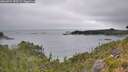 ./images/calvert/foggy-cove/20260724/foggy-cove20260724_090501M.jpg